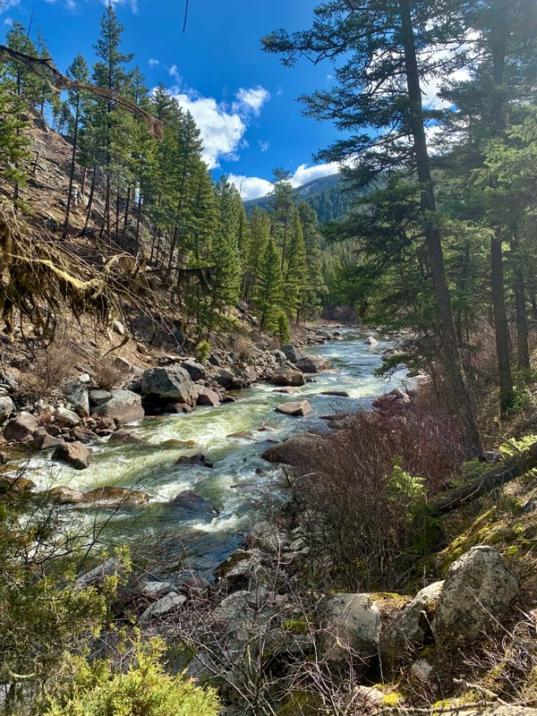From Oregon to Michigan: A Cross-Country Camper Adventure