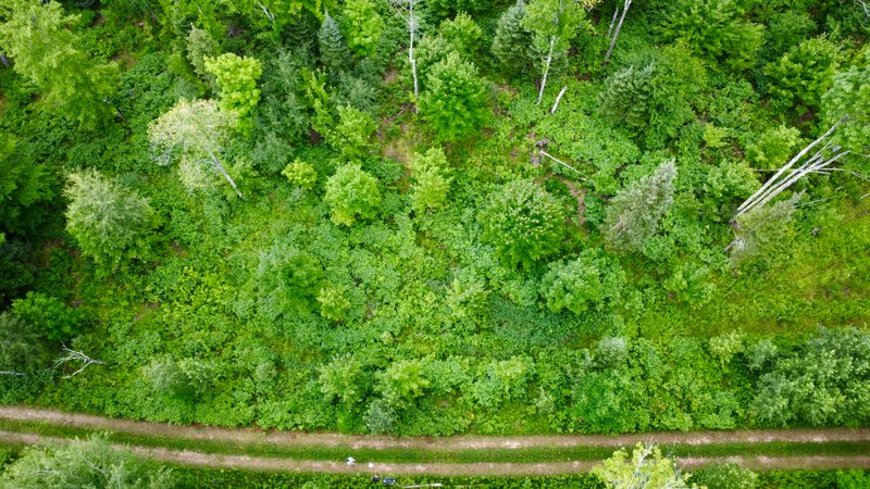 Lessons from the Land: A Three-Year Homestead Q&A