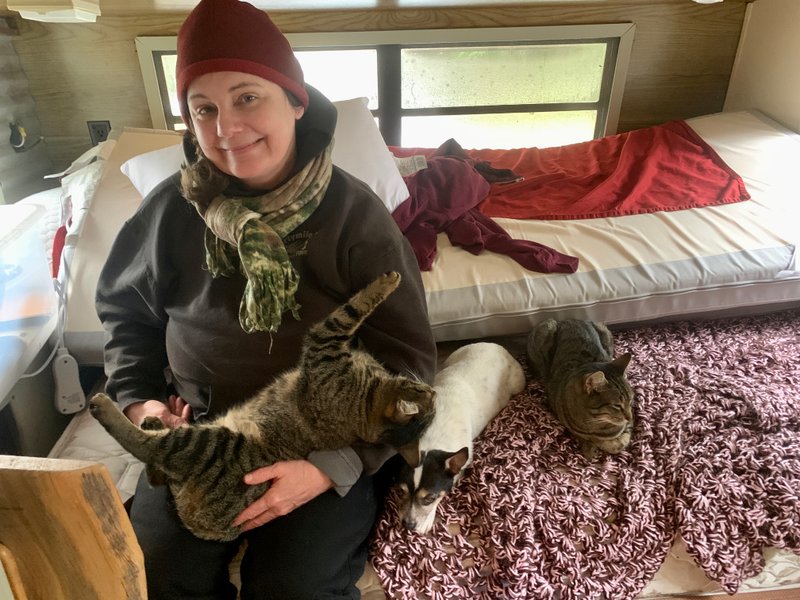Lupe’s Story: Honoring Her Life and the Cats Who Came Before