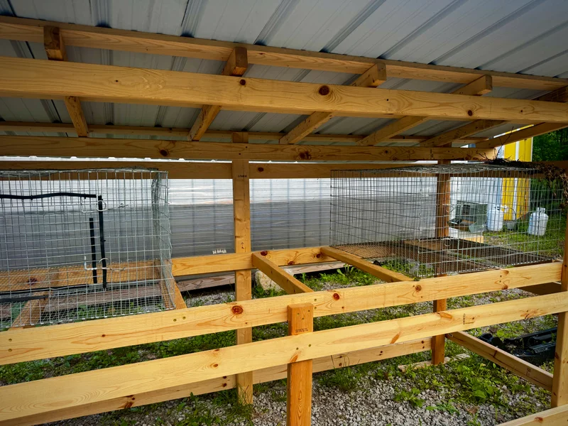How I Used AI to Plan a Rabbit Hutch Build