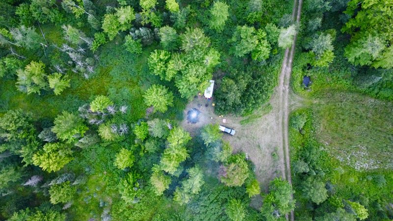Lessons from the Land: A Three-Year Homestead Q&A