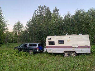 Lessons from the Land: A Three-Year Homestead Q&A