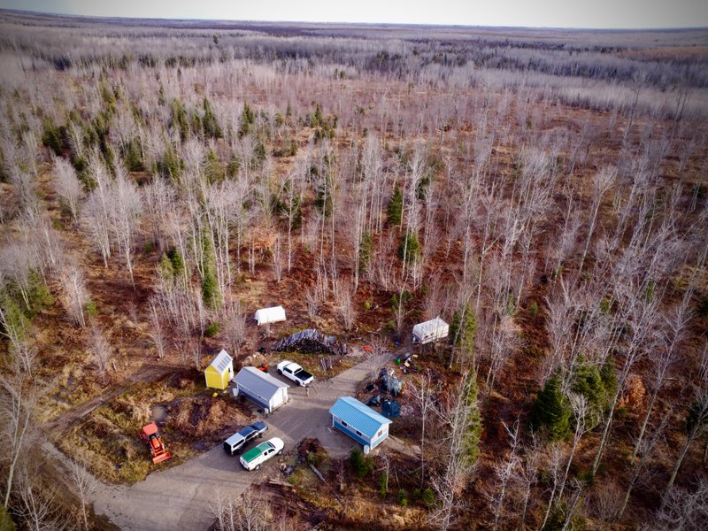 Lessons from the Land: A Three-Year Homestead Q&A