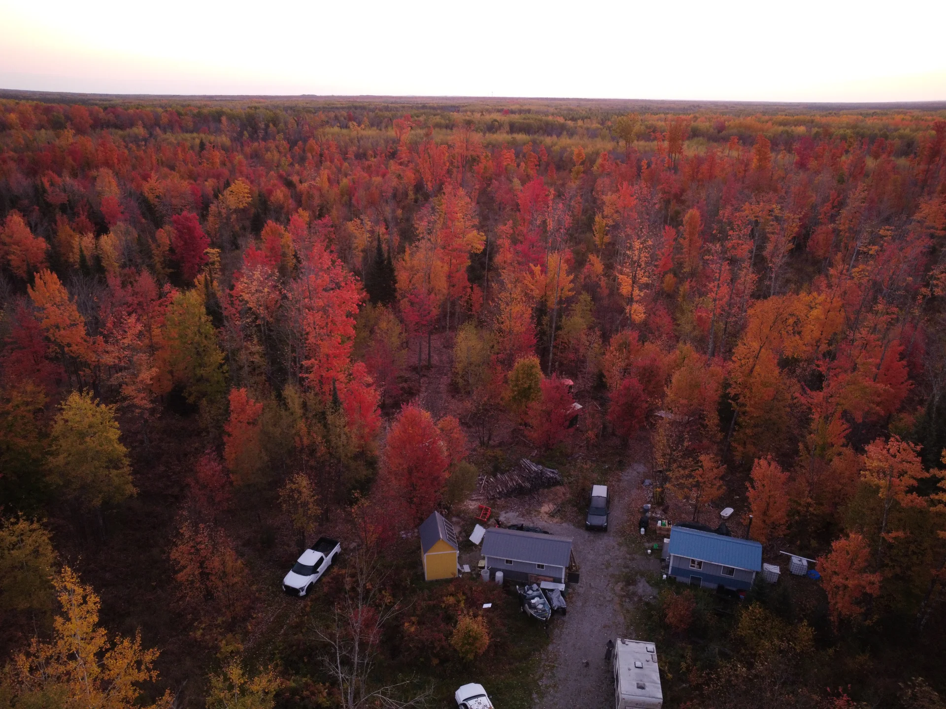 Aerial view of Fruition Forest Garden